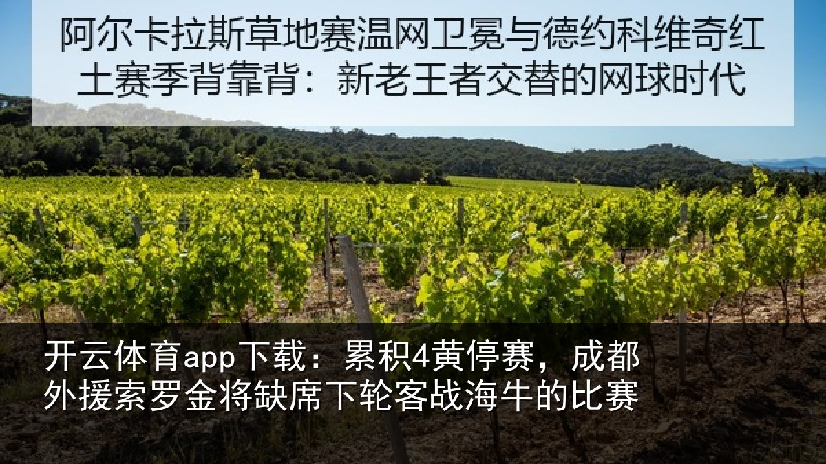 开云体育app下载:累积4黄停赛,成都外援索罗金将缺席下轮客战海牛的比赛