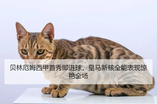 贝林厄姆西甲首秀即进球，皇马新核全能表现惊艳全场