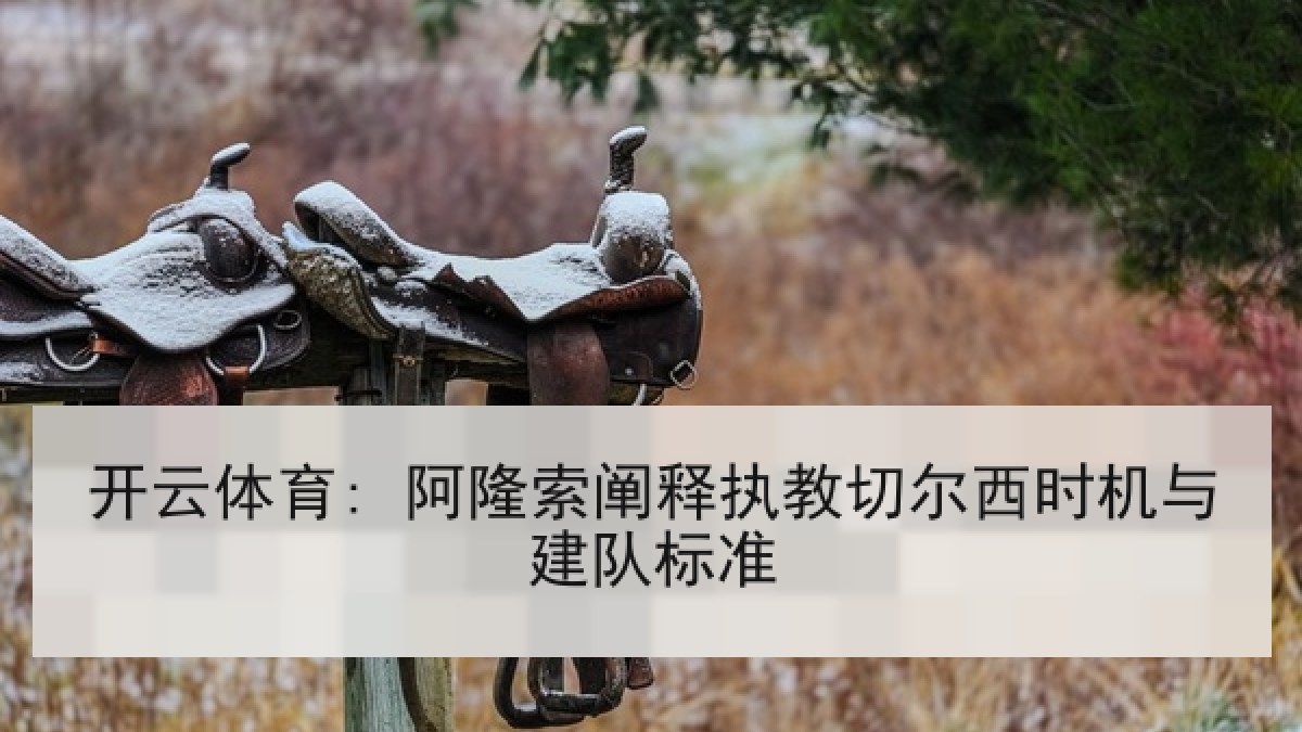 开云体育: 阿隆索阐释执教切尔西时机与建队标准