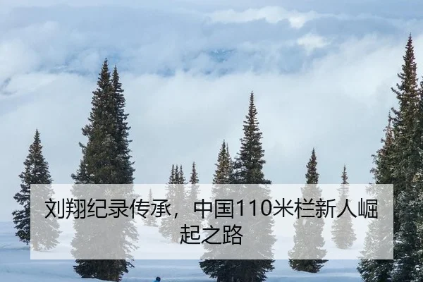 刘翔纪录传承，中国110米栏新人崛起之路