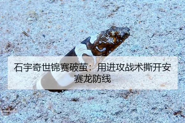 shi-yu-qi-shi-jin-sai-po-jian-yong-jin-gong-zhan-shu-si-kai-an-sai-long-fang-xian-2-658.jpg